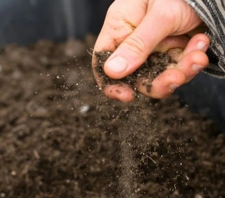 Clean Soil Drop Off Calvert MD