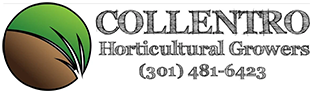 Collentro Growers Logo