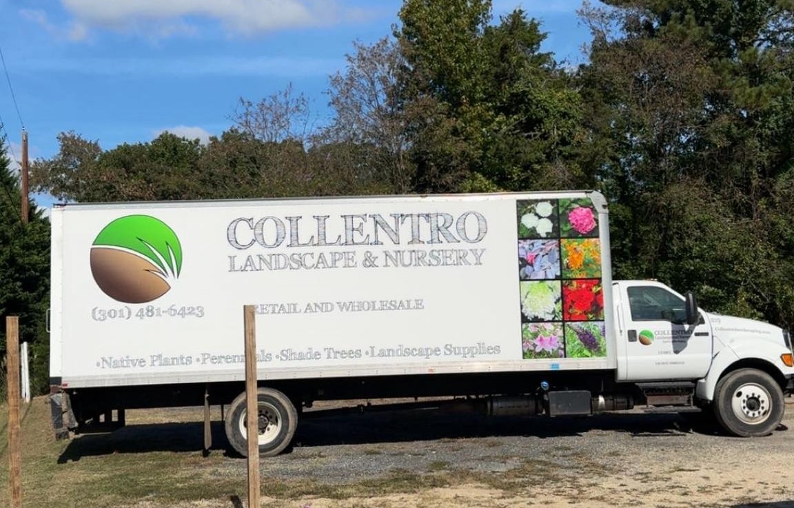Collentro Nursery Calvert MD